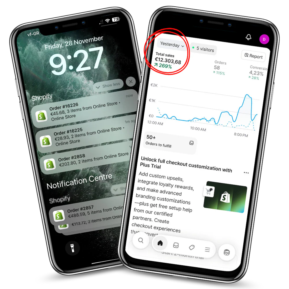 Dropshipping Course - Basic
