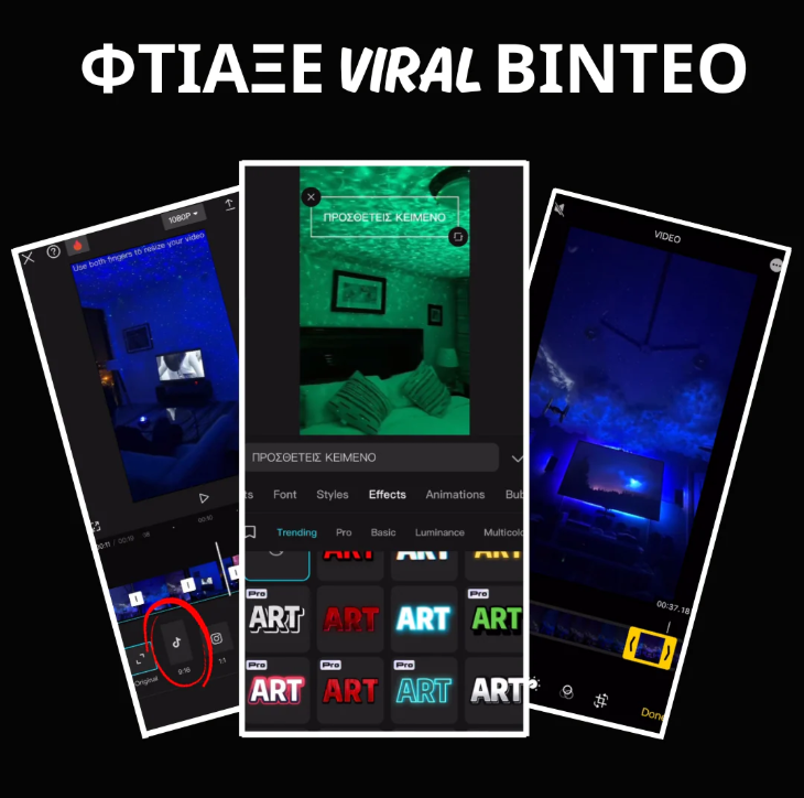 Dropshipping Course - Pro